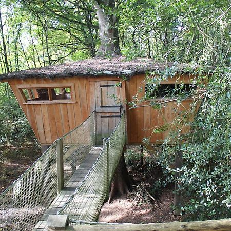 Les Ecolodges De L'Orbiere Force ภายนอก รูปภาพ