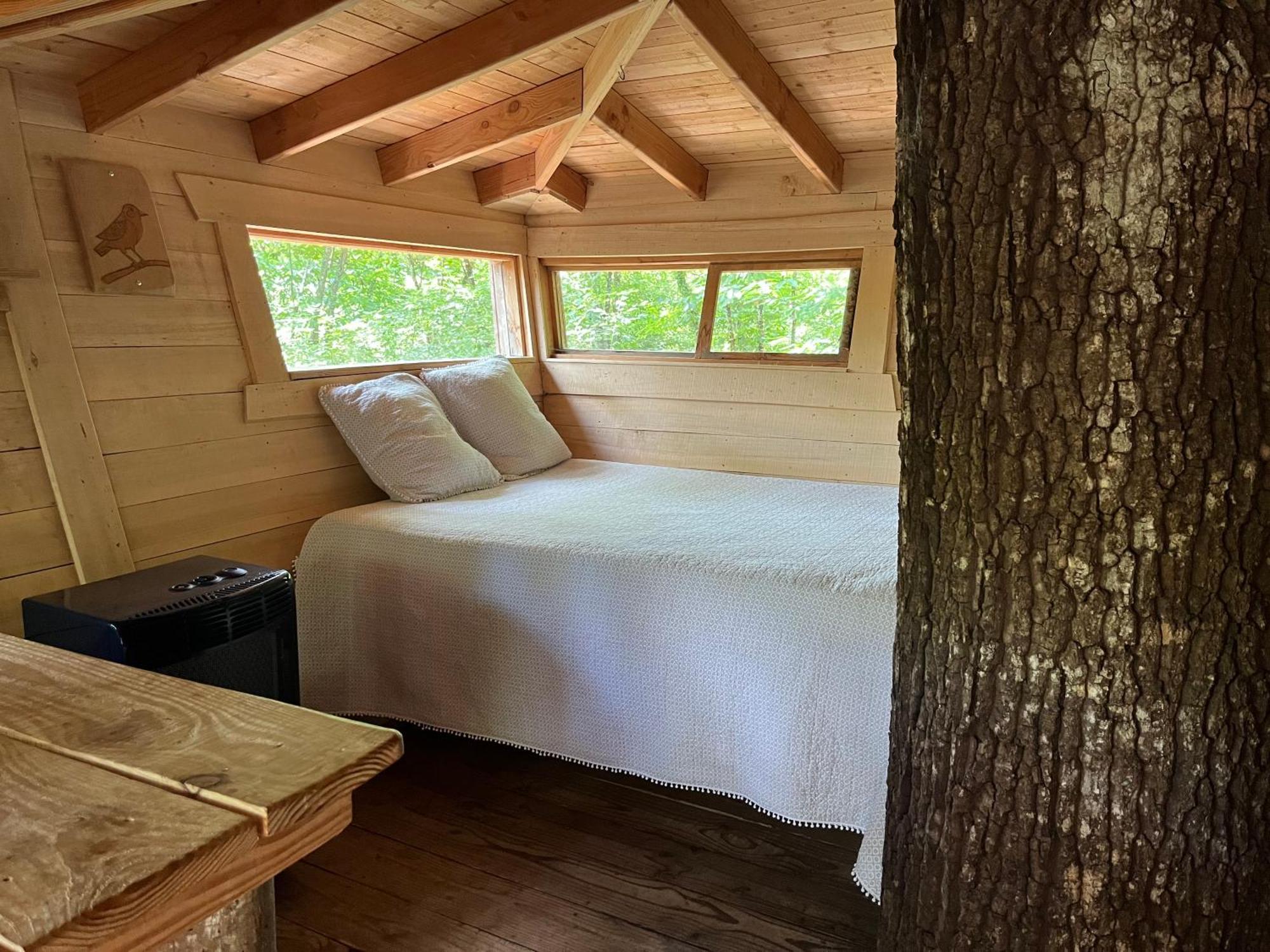 Les Ecolodges De L'Orbiere Force ภายนอก รูปภาพ