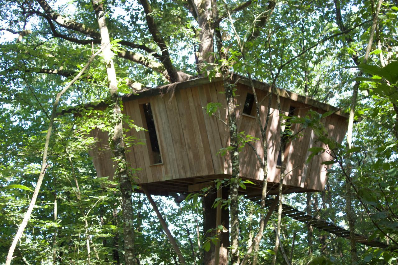 Les Ecolodges De L'Orbiere Force ภายนอก รูปภาพ