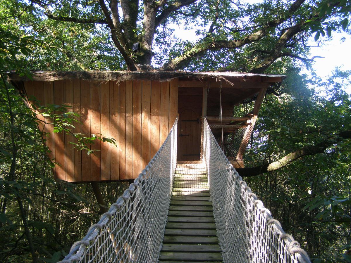 Les Ecolodges De L'Orbiere Force ภายนอก รูปภาพ