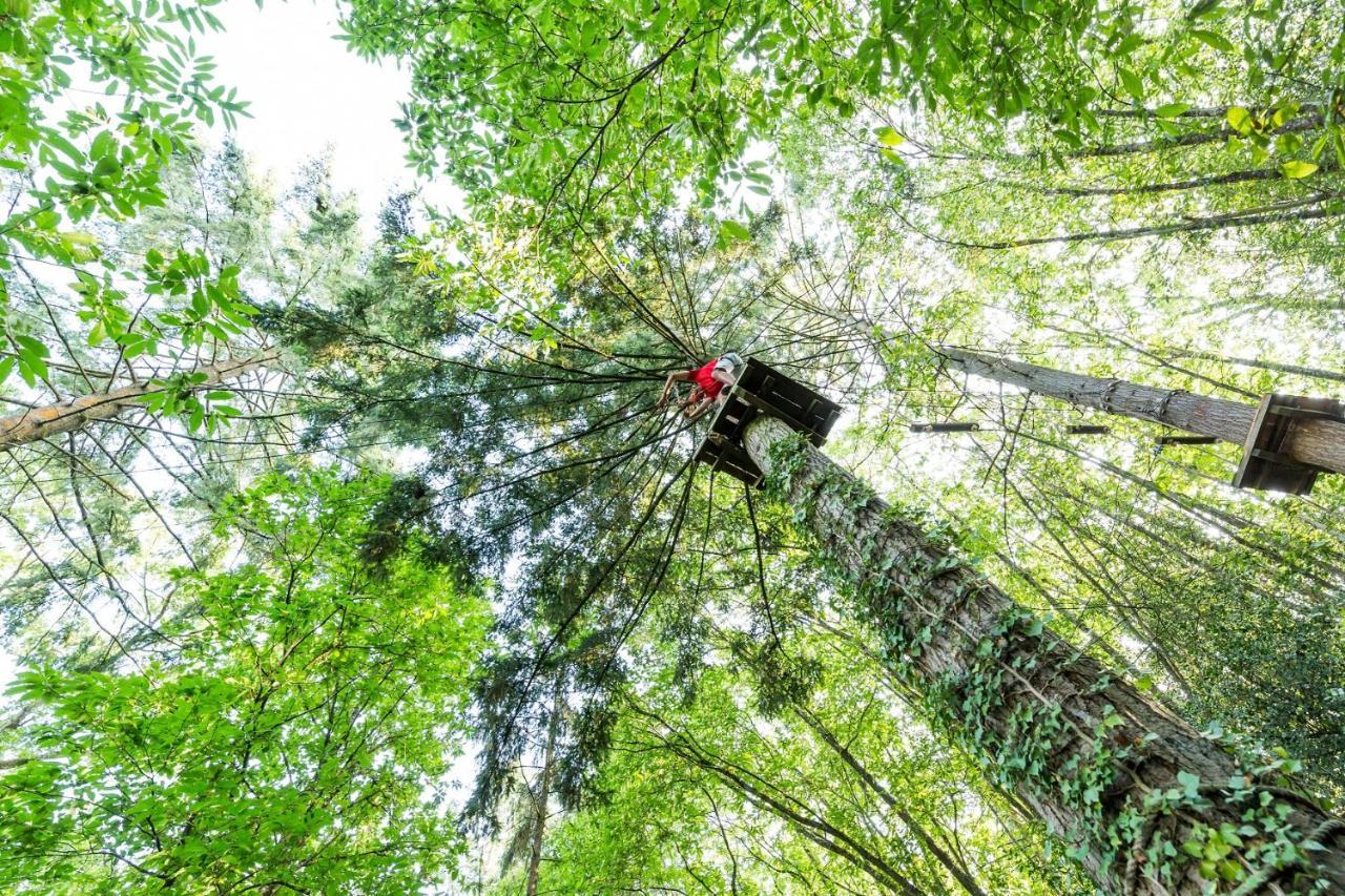 Les Ecolodges De L'Orbiere Force ภายนอก รูปภาพ